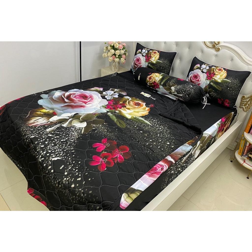 Bộ Drap mền gối thun Ý 5D Cao Cấp , mát lạnh, thấm hút tốt// có mền lẻ