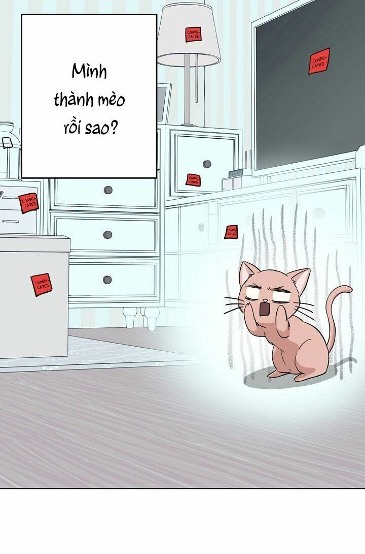 cuộc sống kỳ thú chapter 1 44