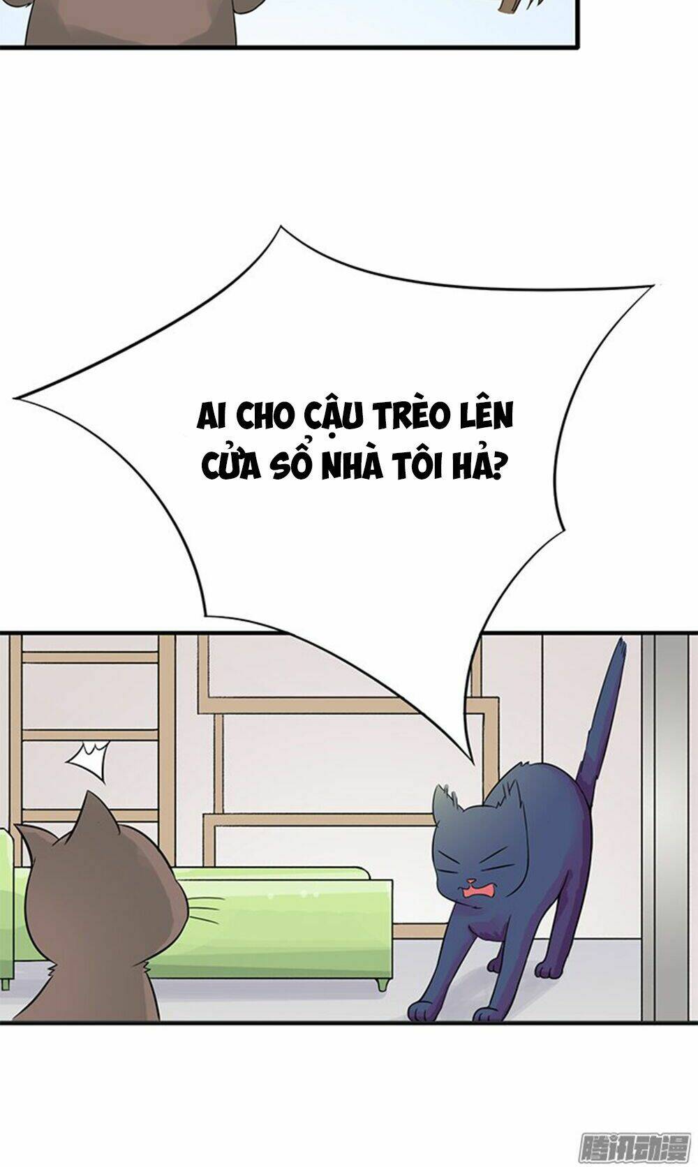 hai chú mèo totem chapter 11 7