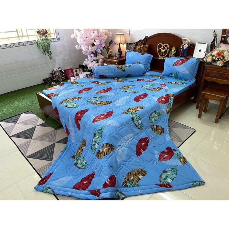 Drap thun Hàn quốc