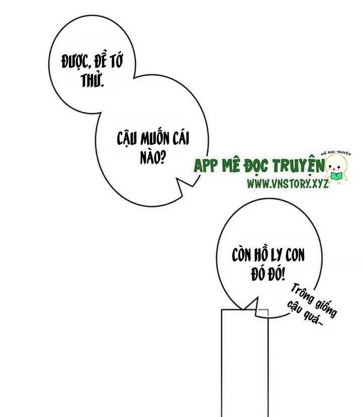 con tim rung động 2 chapter 16 26