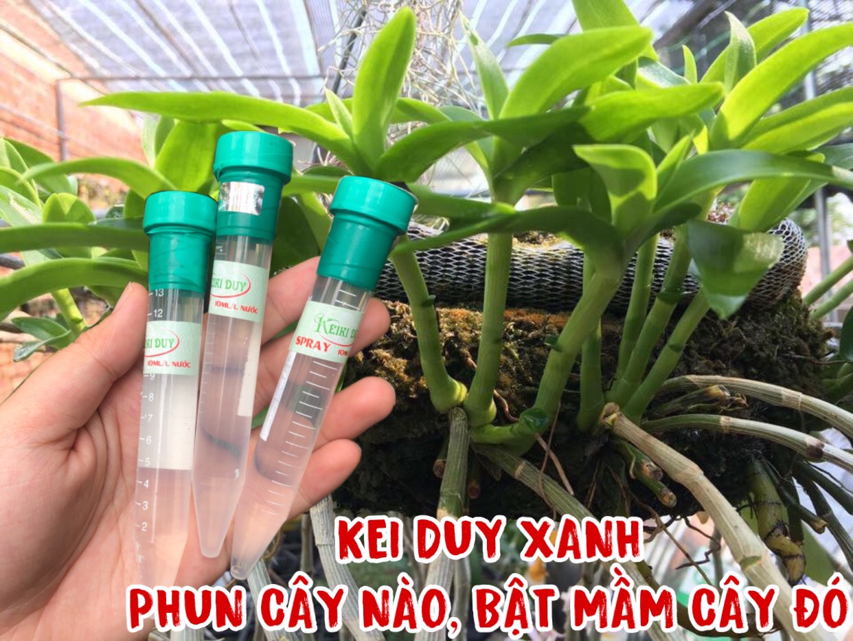 Bộ kích Kie Duy xanh và đỏ dùng kích kie cho lan 10ml