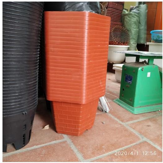 Chậu nâu trồng cây, hoa hồng