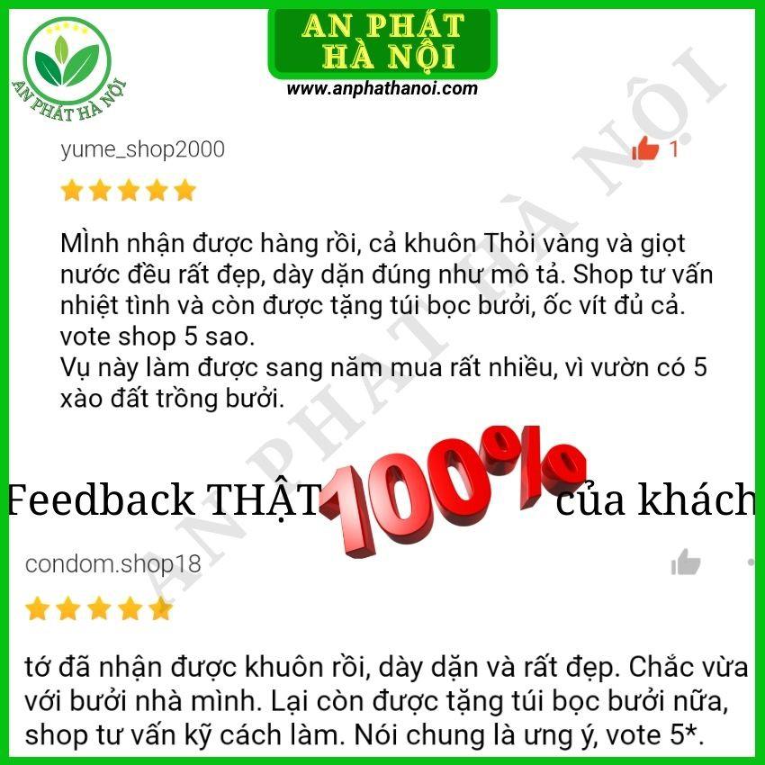 Khuôn Bưởi thỏi vàng số 1 - Khuôn tạo hình trái cây loại đẹp, dày, bền, in chữ nổi TÀI LỘC