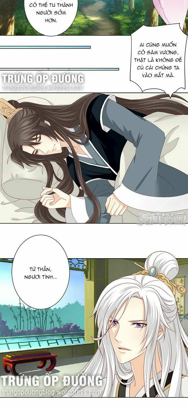 sâm vương bị tóm chapter 32 12