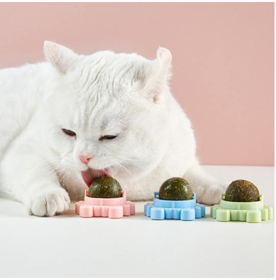 Đồ chơi cho mèo - Viên Cỏ Bạc Hà Gắn Tường Giảm Stress