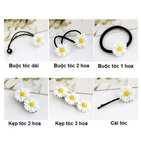 Buộc Tóc - Cài Tóc Hoa Cúc Hàn Quốc.