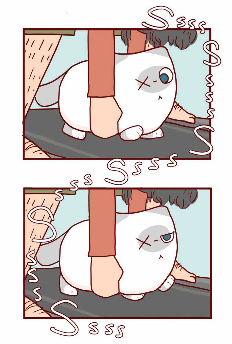 saphie: chú mèo một mắt chapter 12 10