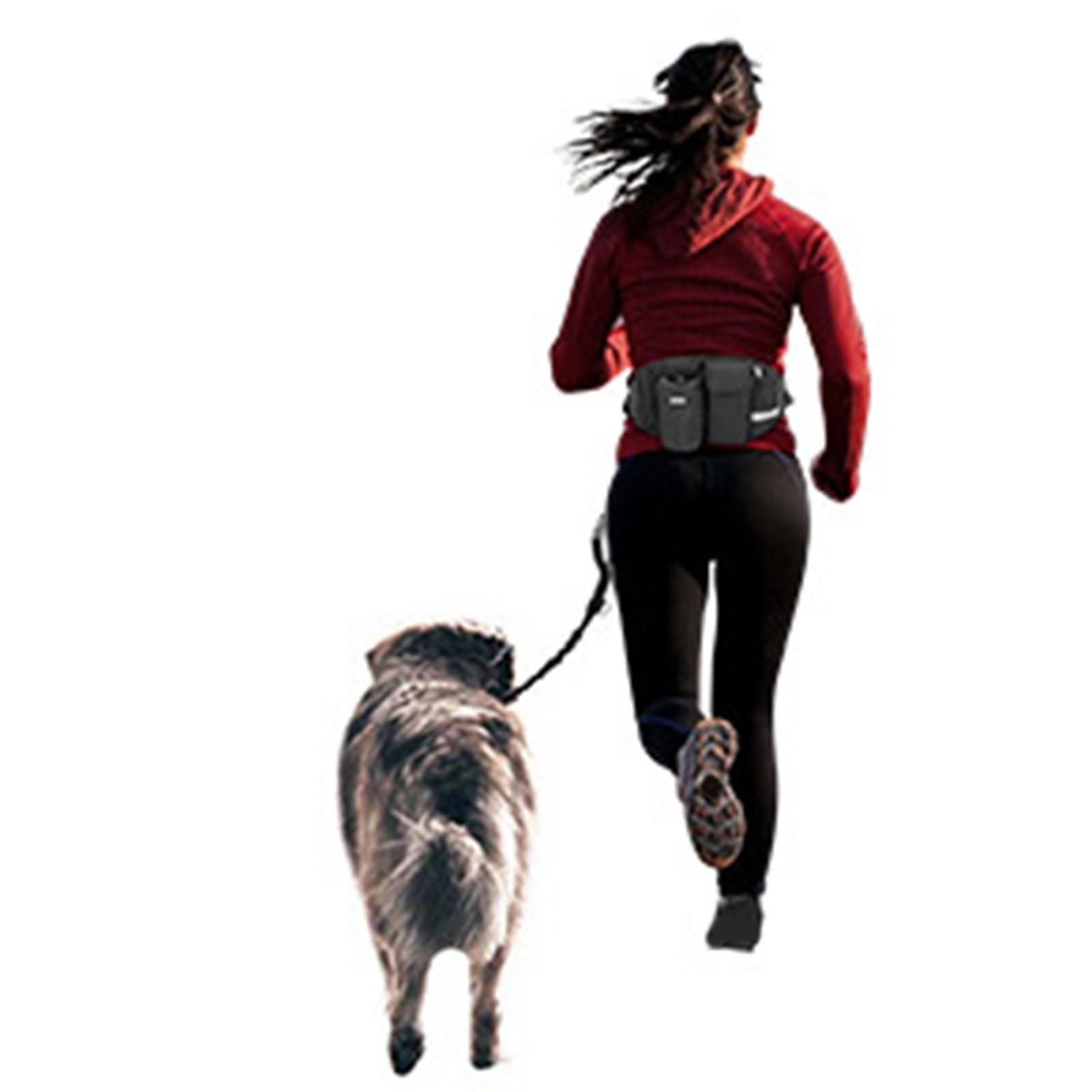 Hands Leash Running Waist Belt Pet Walking Elastic Leashes+Bag