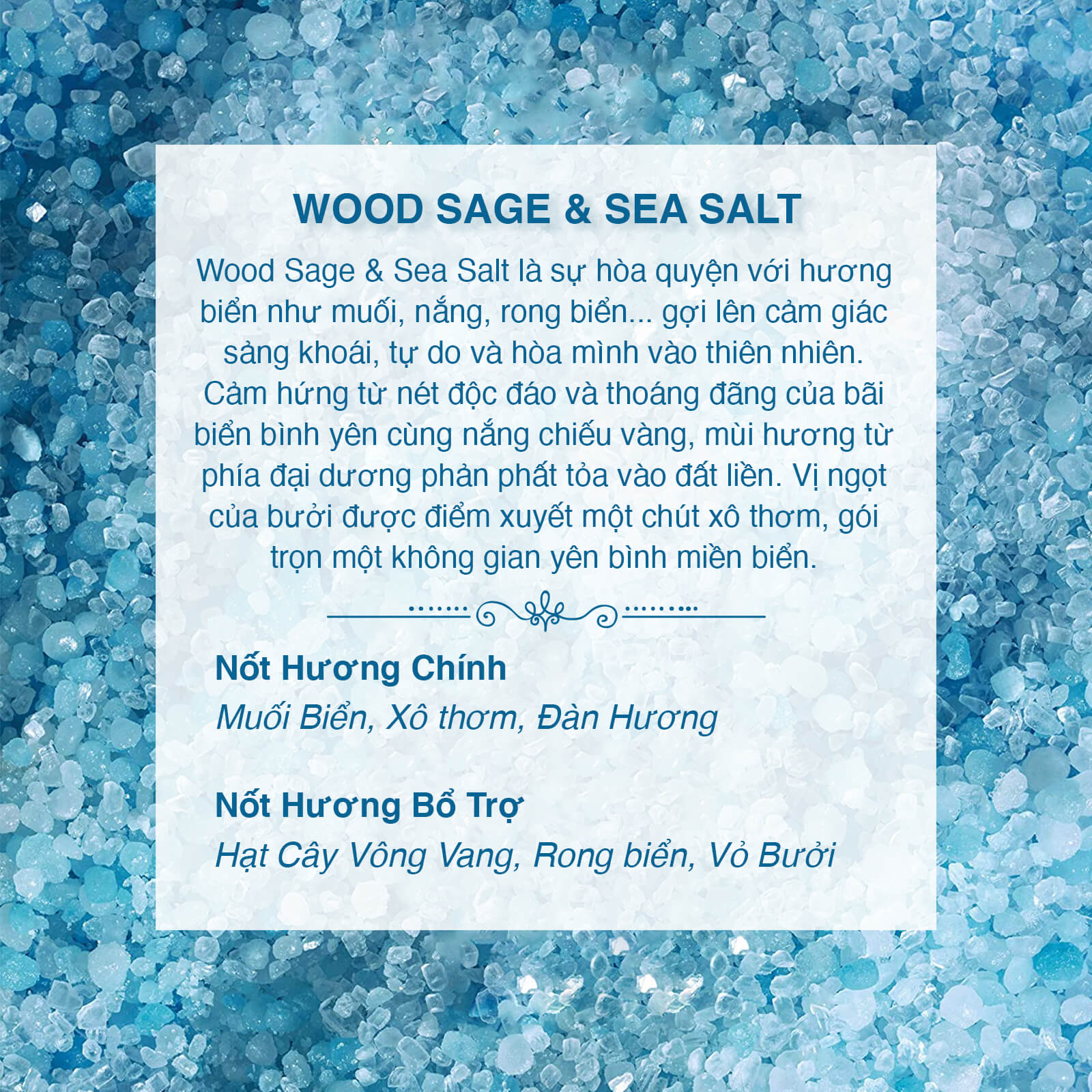 Tinh Dầu Thơm Nomad Premium Fragrance Oil - Wood Sage & Sea Salt