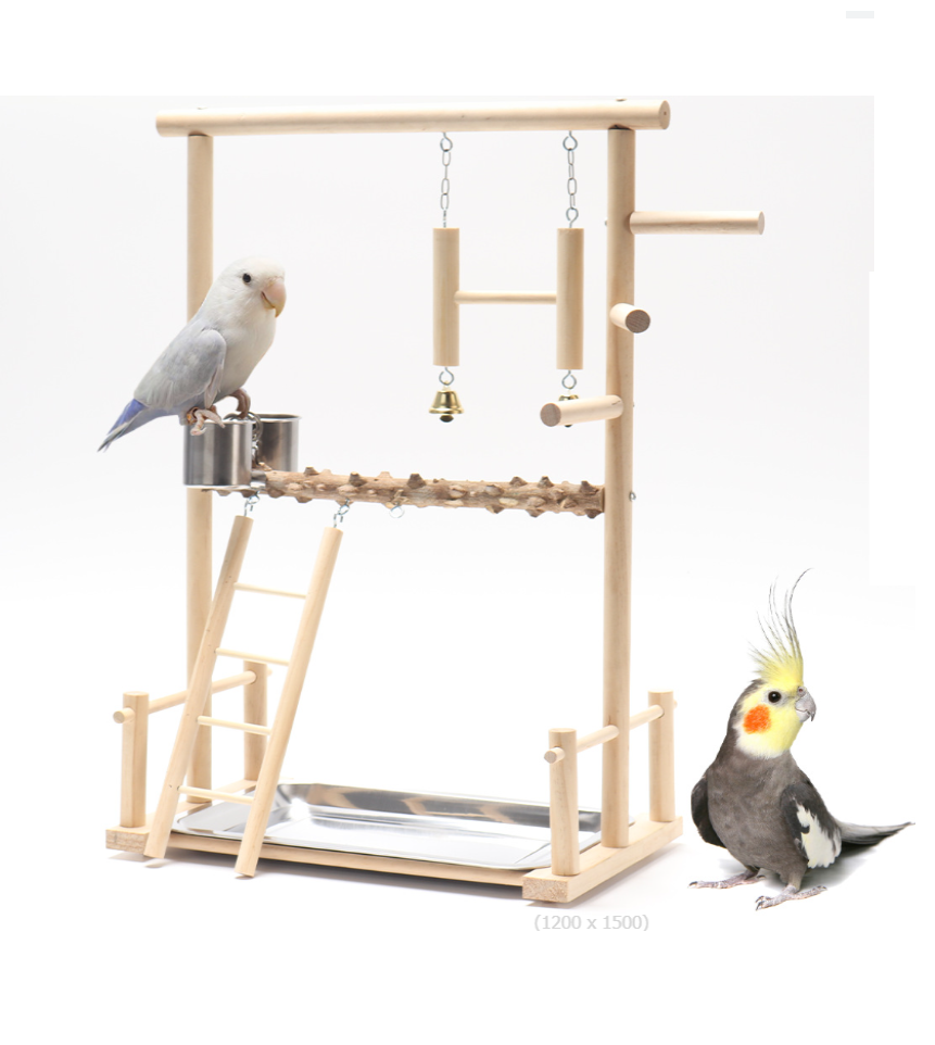 1 bộ cầu đứng thanh ngang gỗ gạo kết hợp thang, đồ chơi gỗ 35.5*23*49 cho các dòng chim, yến phụng và vẹt nhỏ, trung