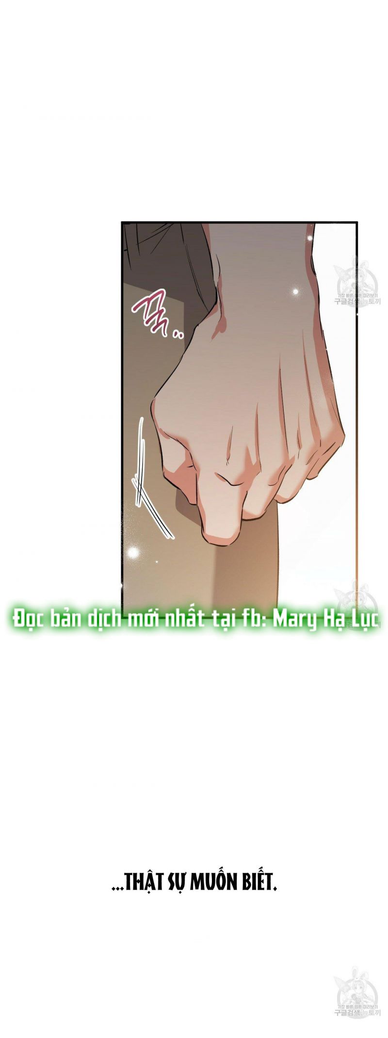 những chú thỏ của hapypy chapter 55.5 33