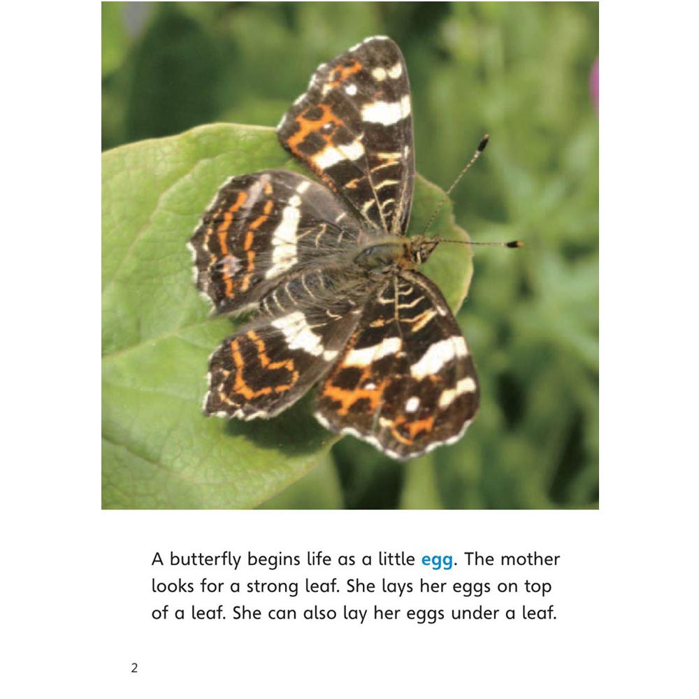 [Compass Reading Level 3-9] The Life of the Butterfly - Leveled Reader with Downloadable Audio Free - Sách chuẩn nhập khẩu từ NXB Compass