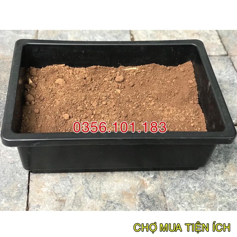 Combo 3 bao Đất Hữu Cơ Trồng Rau tặng Hạt Giống rau Cải