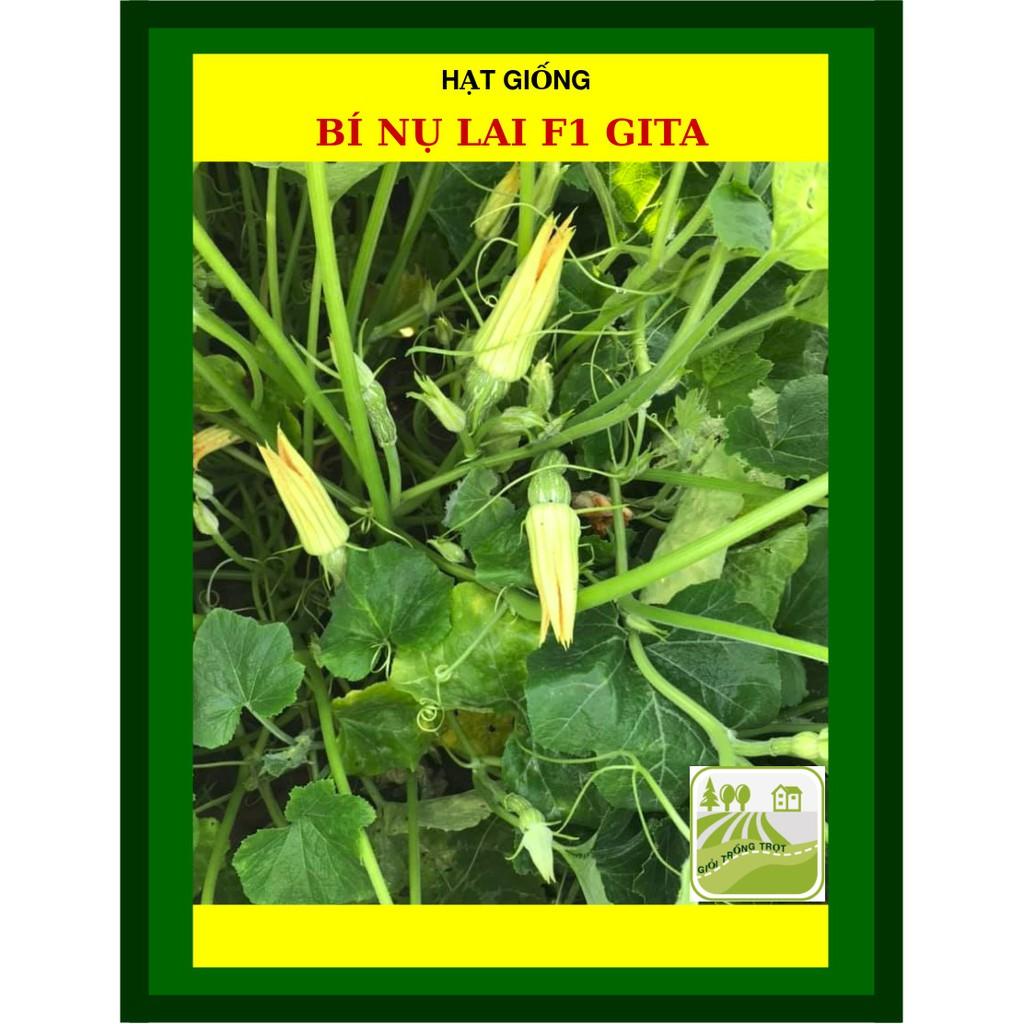 Hạt Giống Bí Nụ Lai 2 Gram
