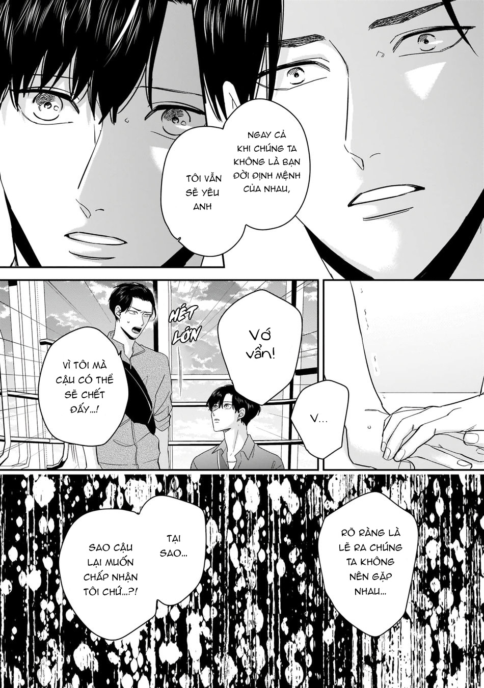 dù không là định mệnh chapter 5 16