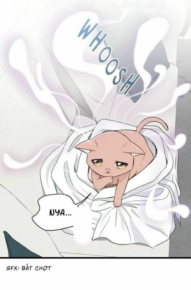 một cuộc sống kỳ lạ chapter 2 39