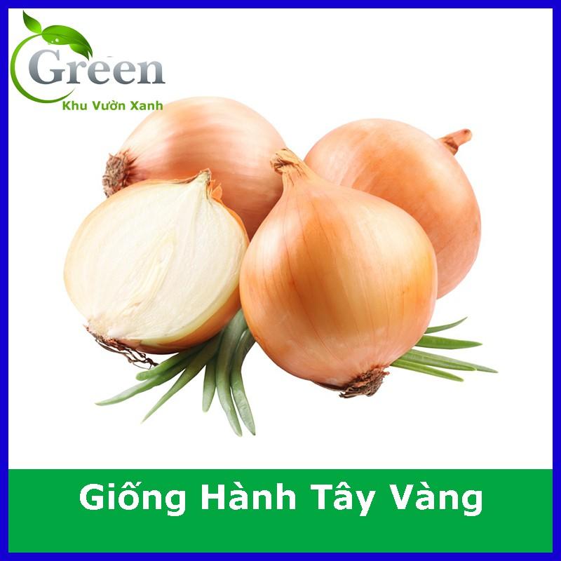 Hạt Giống Hành Tây Vàng