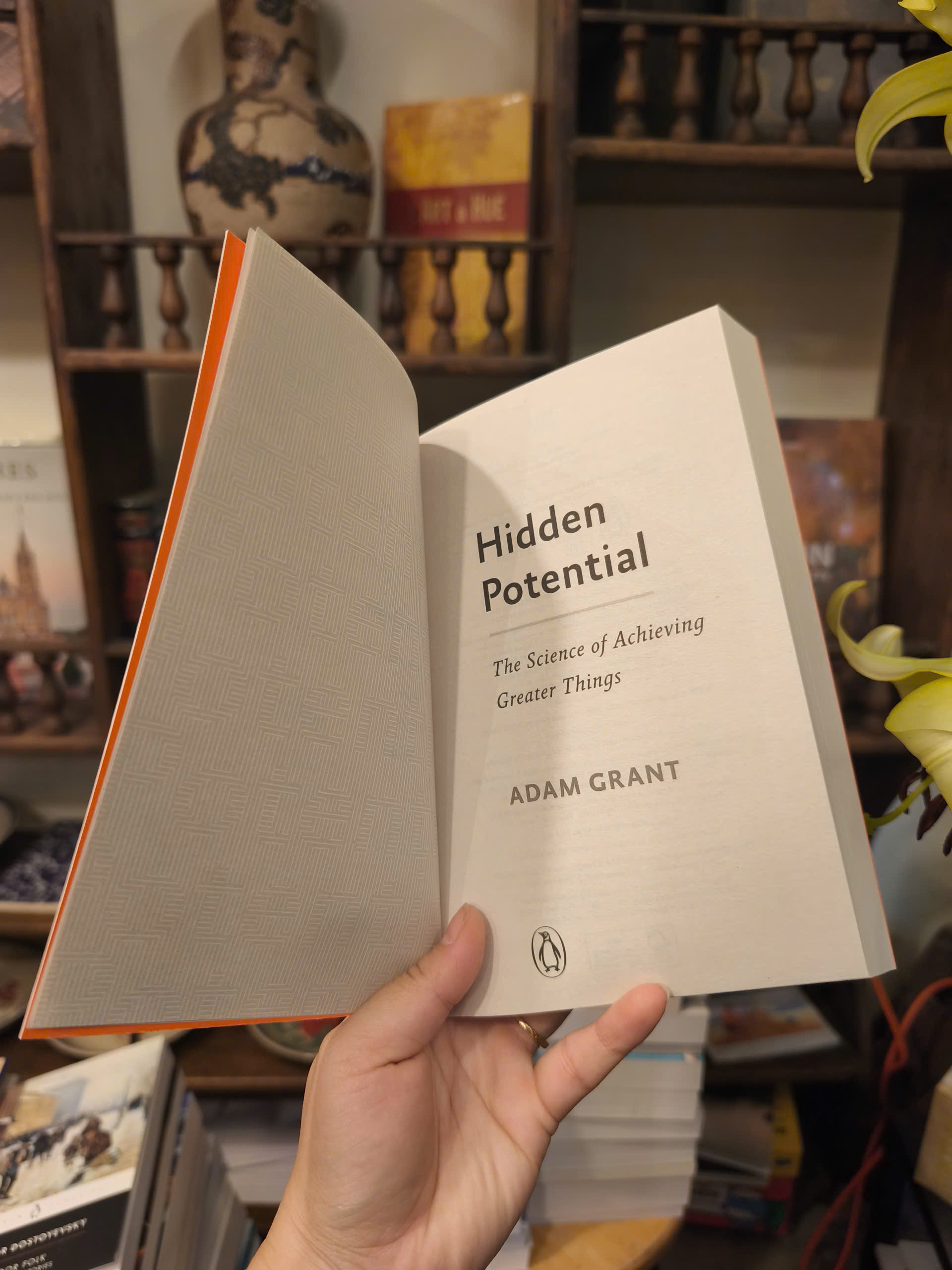 Sách - Hidden Potential by Adam Grant | Psychology / Self Help / Ngoại văn Tâm lý học Nhập khẩu