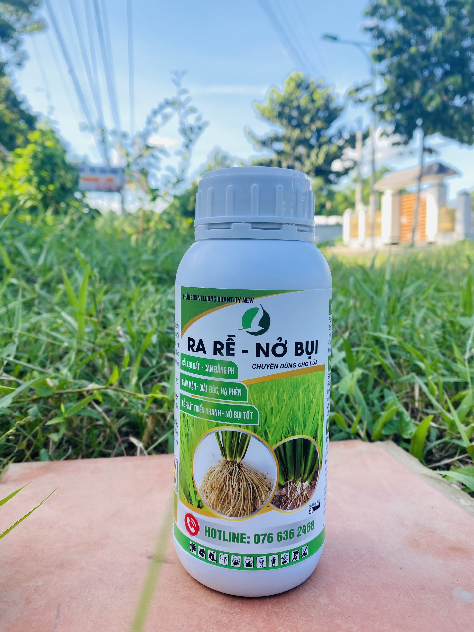 RA RỄ NỞ BỤI Phân bón lá giúp lúa ra rễ nở bụi tốt, cứng cây. chai 500ml