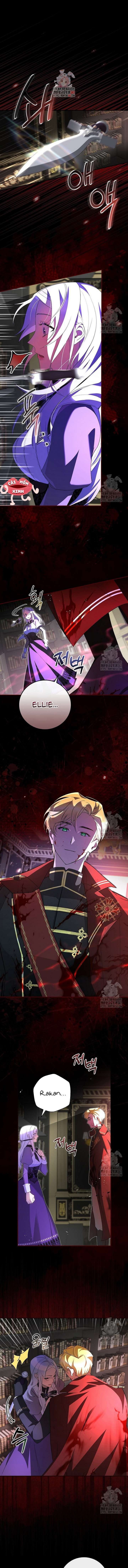 đi tìm nàng công chúa bỏ trốn chapter 1 1