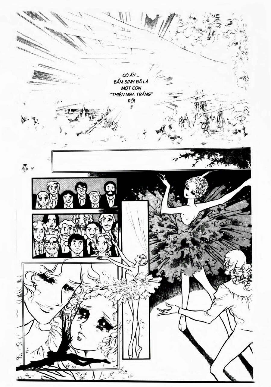 swan - vũ khúc thiên nga chapter 52 8