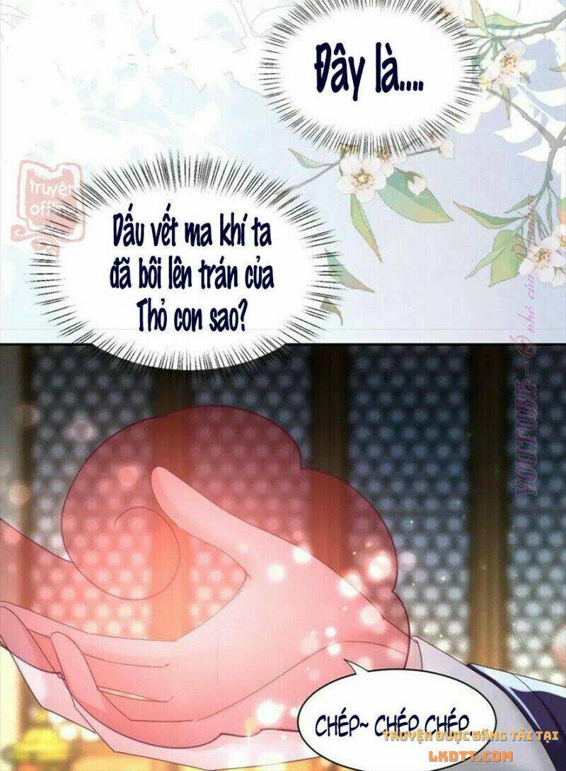 hắc hóa nam chính trực tuyến nuôi thỏ chapter 56 35