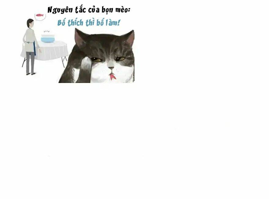 biết là ghét đấy, nhưng không thể buông bỏ chapter 1 11