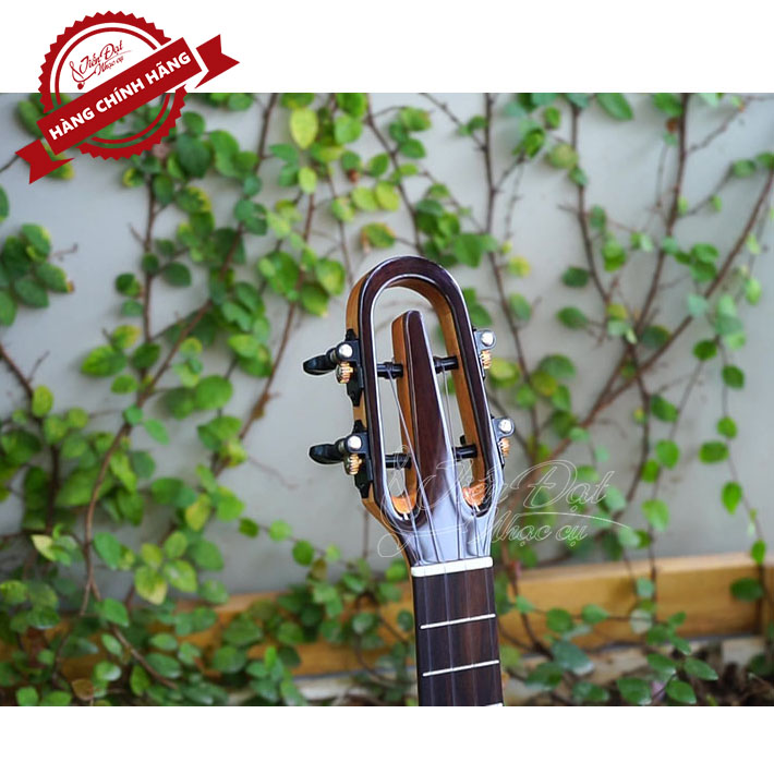 Đàn Ukulele Concert SQOE SQ UK-2420C, Gỗ KOA Nguyên Tấm Cao Cấp, Kèm Quà Tặng - Hàng Chính Hãng