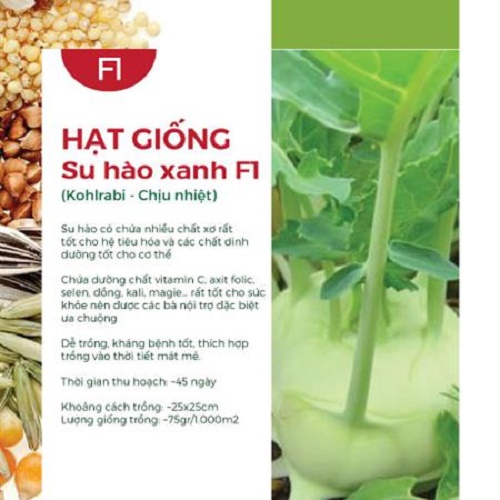 Hạt Giống Su Hào Xanh Chịu Nhiệt F1 335AQ (0.5gr)