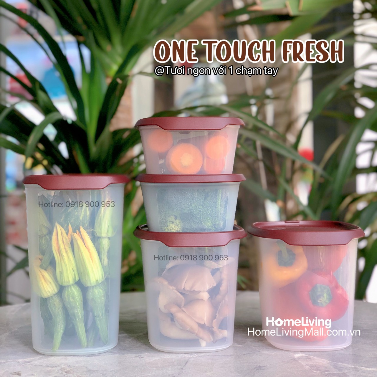 Bộ Trữ Khô &amp; Mát Tupperware One Touch Fresh Set 5