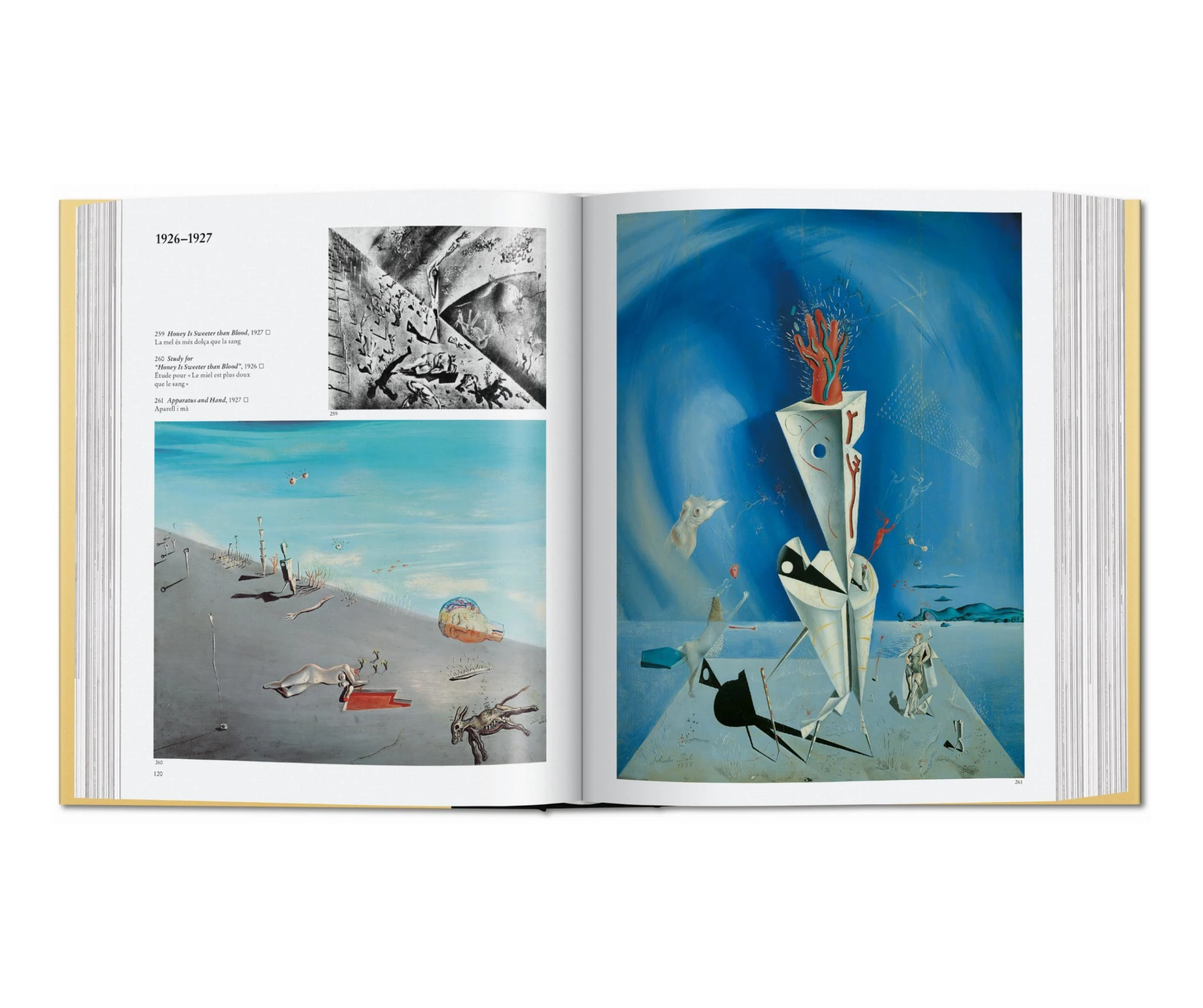 Artbook - Sách Tiếng Anh - Dalí: The Paintings