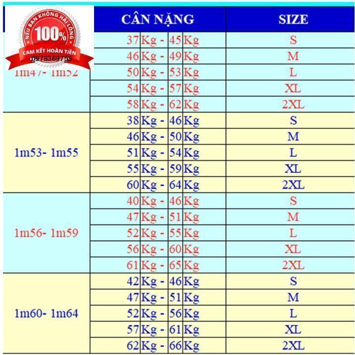 Đầm Trung Niên Dự Tiệc Đầm Dáng Xòe Hoa Nhí Váy Nữ Xoè 2 Tầng Cao Cấp Sang Trọng Cổ Tròn Tay Loe