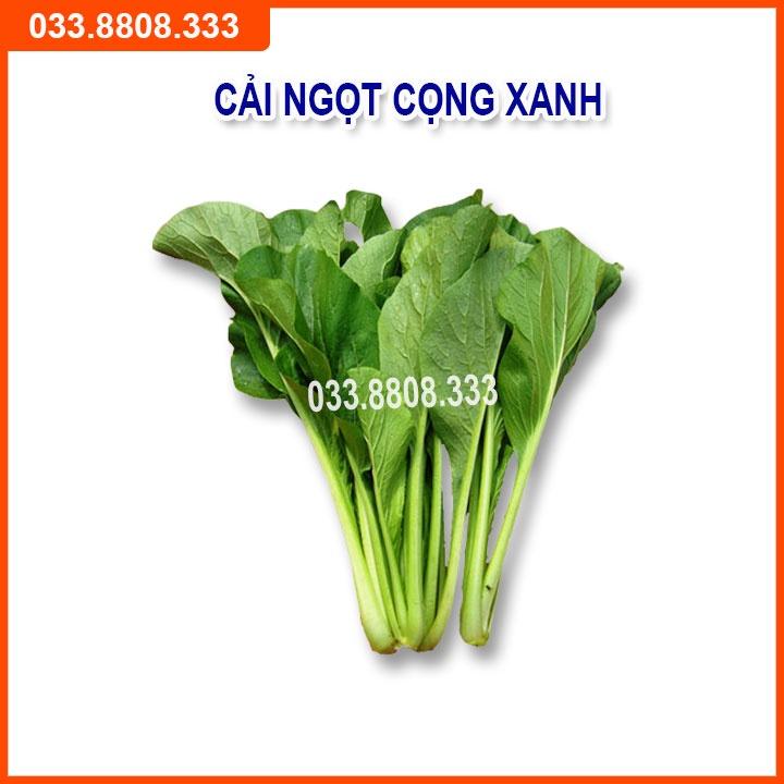 Bộ 5 Loại Hạt Giống Rau Cải Bất Kỳ - Rau Trồng Chậu Nhanh Thu Hoạch