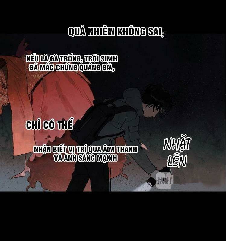 thần trạch chapter 19 21