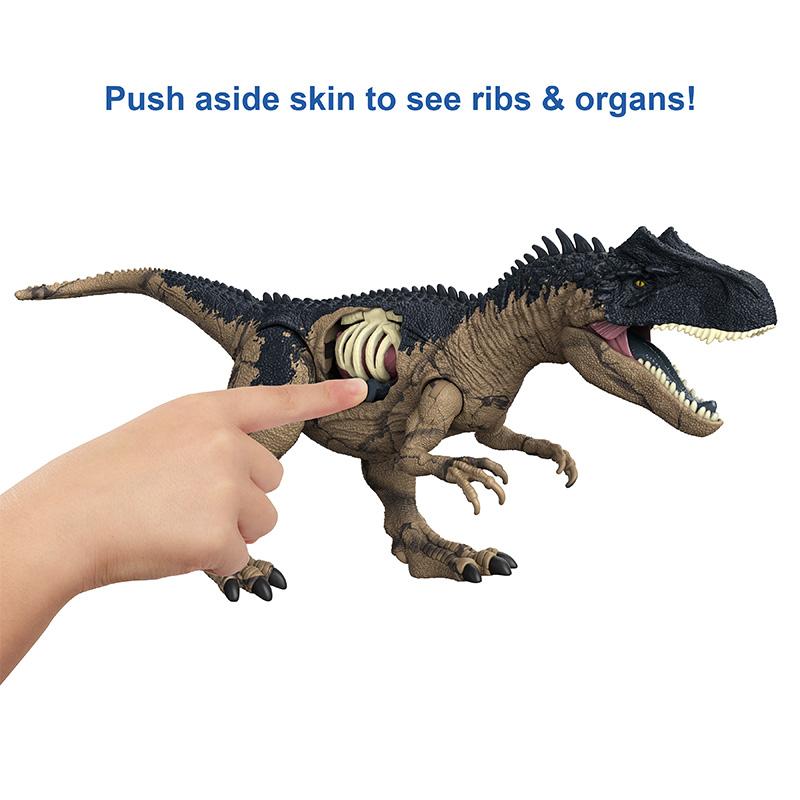 Đồ Chơi JURASSIC WORLD MATTEL Khủng Long Allosaurus HFK06