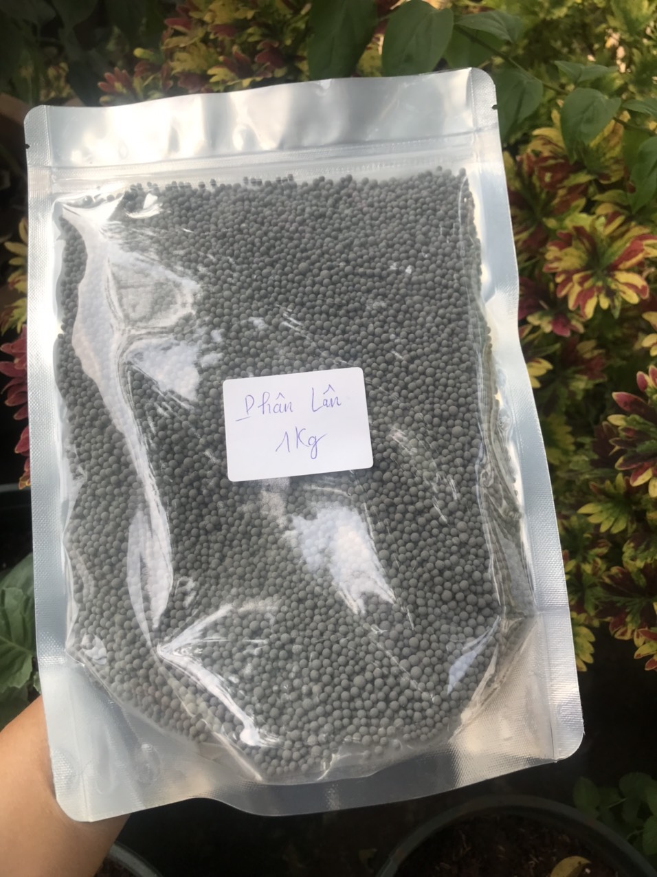 Phân lân gói 1kg - Super Lân Canxi - thần dược cho cây trồng