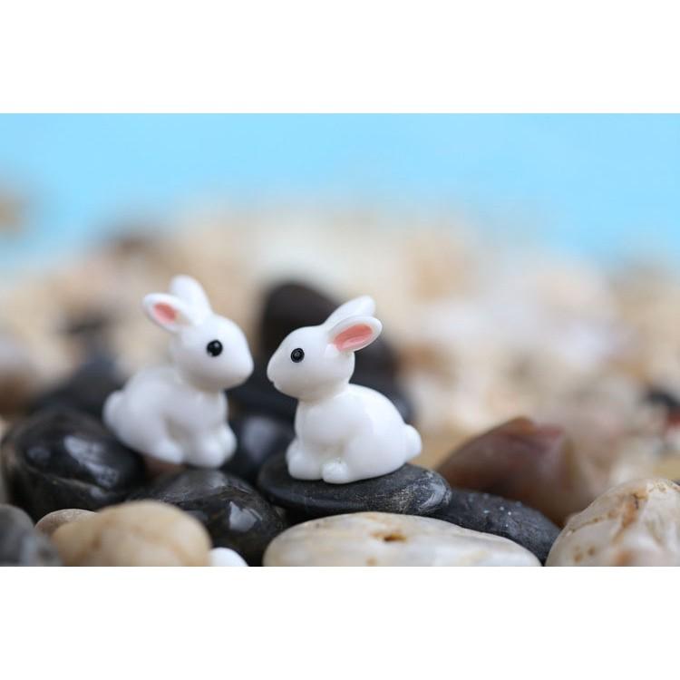 Tiểu cảnh Terrarium ️ Mô hình thỏ trắng tiểu cảnh trang trí sen đá, sân vườn, bể cá, bể terrarium