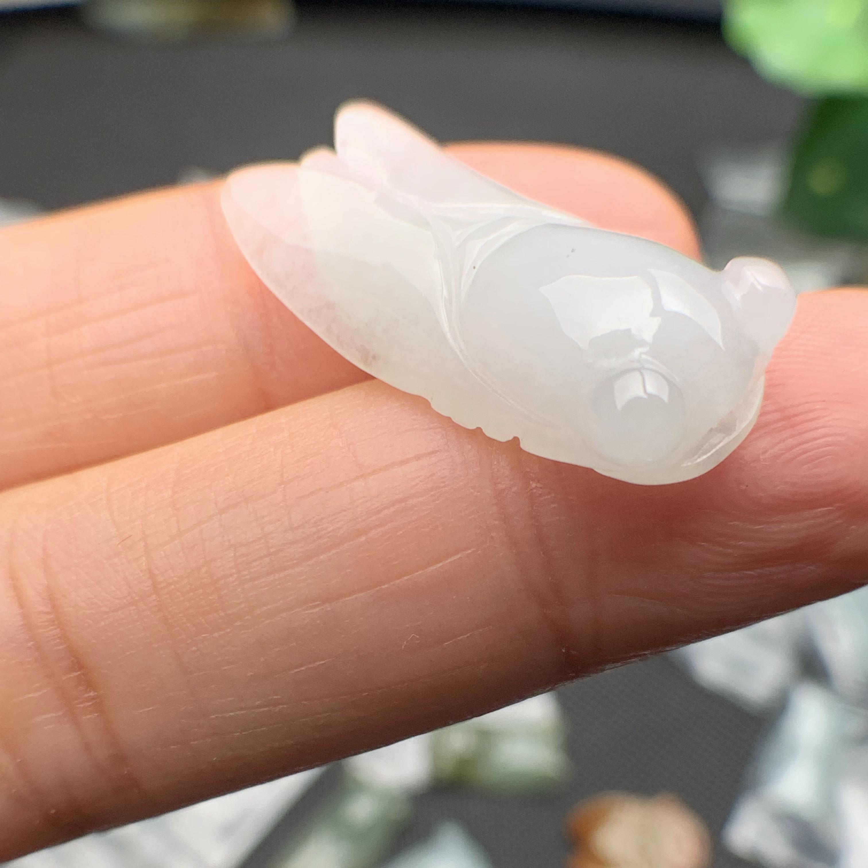 Ve sầu ngọc phỉ thúy tự nhiên Jadeite A
