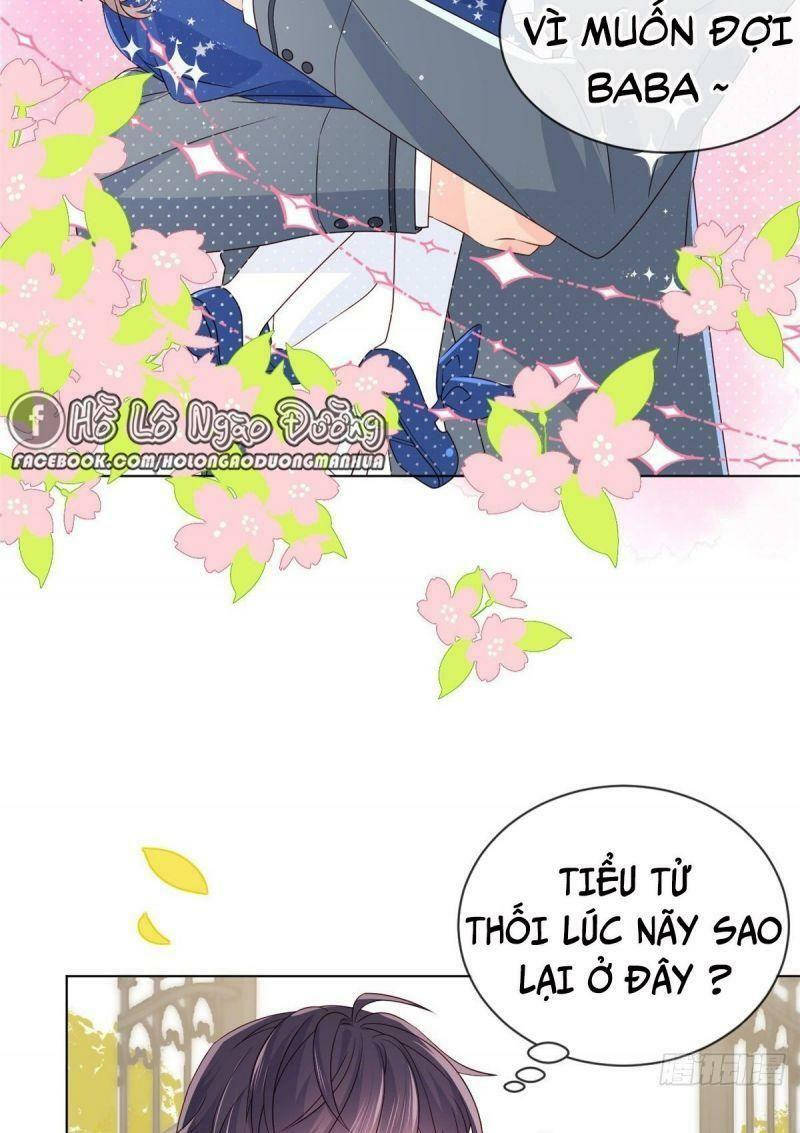 đoàn sủng lão đại ba tuổi rưỡi chapter 5 11