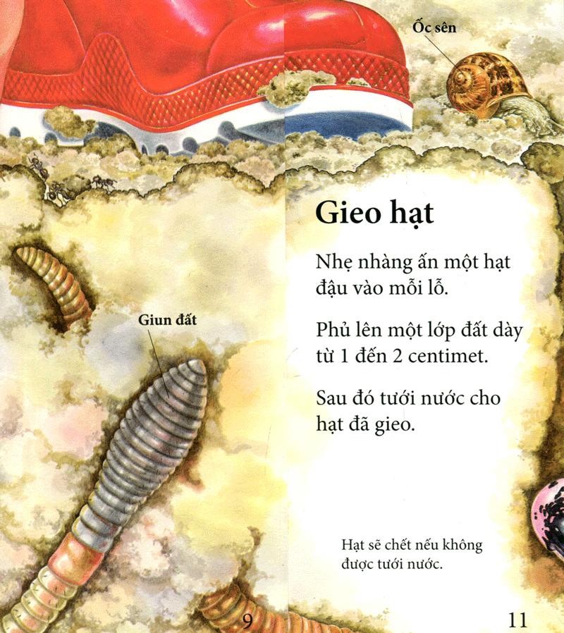 Cây Ơi Lớn Mau