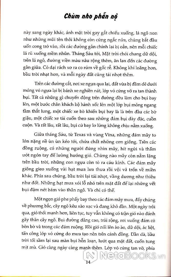 Sách - Chùm Nho Phẫn Nộ (Tái Bản 2024)