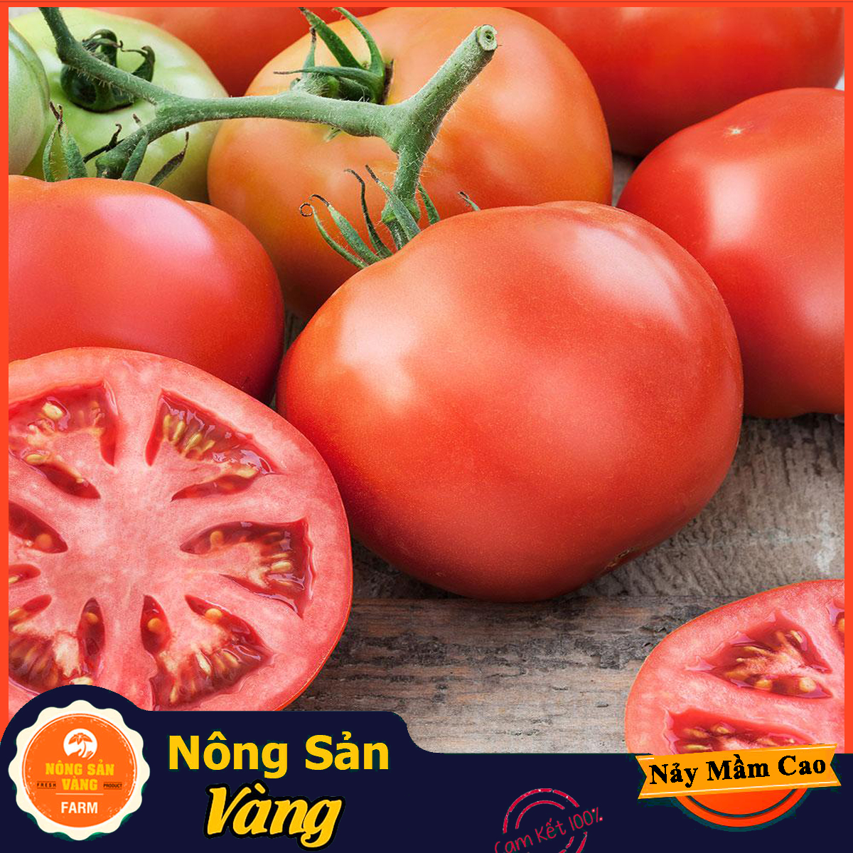 Hạt giống Cà Chua Đỏ Quả To F1 - Nông Sản Vàng