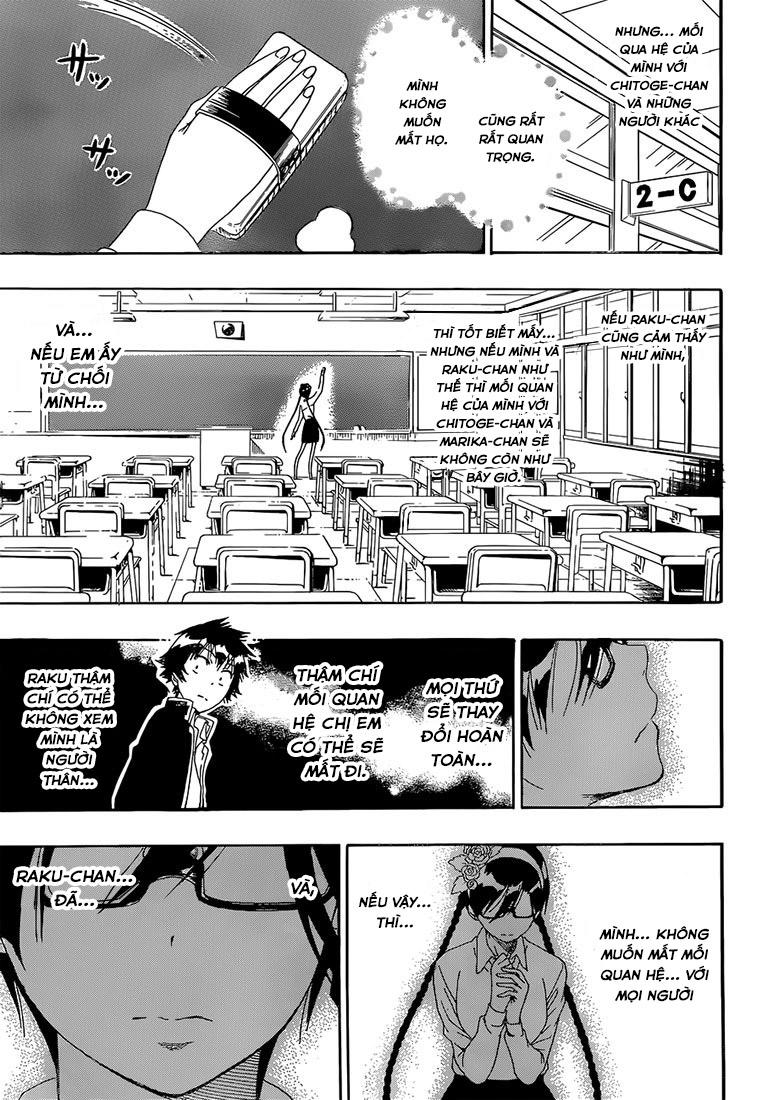 nisekoi - tình yêu giả tạo chapter 177 7