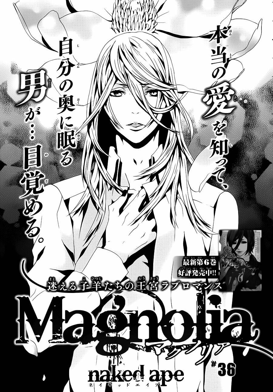 magnolia chapter 36 2