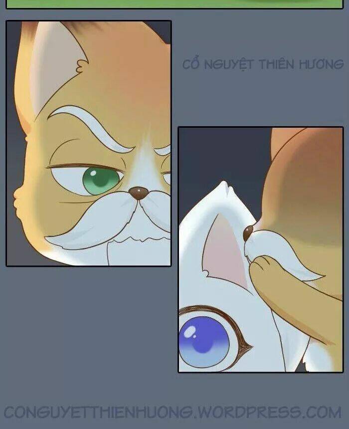 tiểu hồ ly vs tiểu hóa thượng chapter 62 17