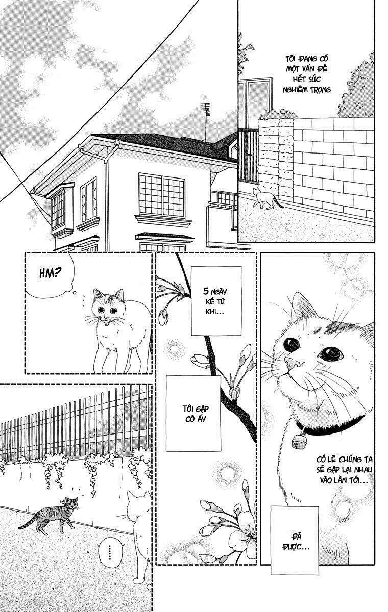 cuộc sống thường nhật của mèo zaccho chapter 1 9
