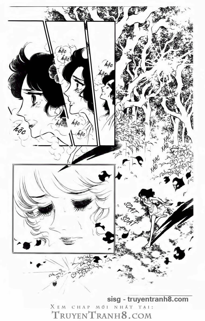 swan - vũ khúc thiên nga chapter 69 6