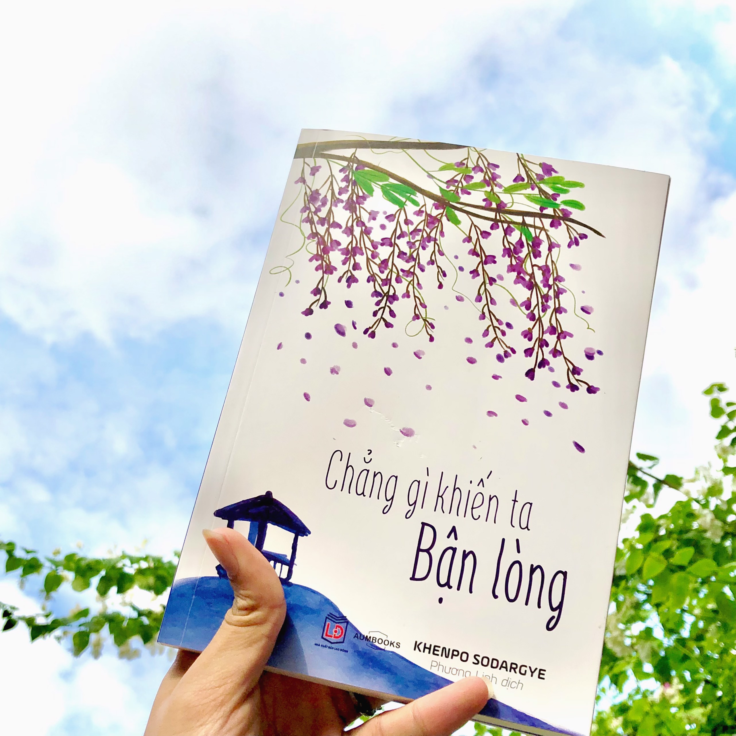 BỘ SÁCH "BẬN" - Sách Tôn Giáo, Nghệ Thuật Và Văn Hóa, Tác Giả KHENPO SODARGYE - Hiệu sách genbooks, bìa mềm, in màu