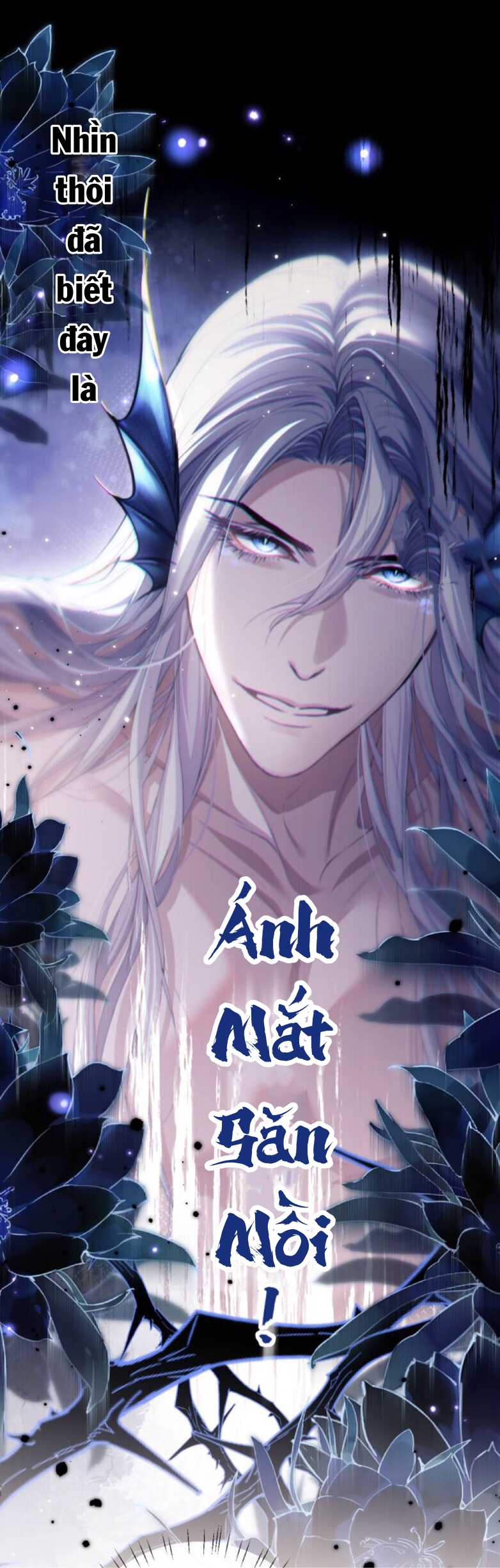 nhân ngư dessaro chapter 3 17